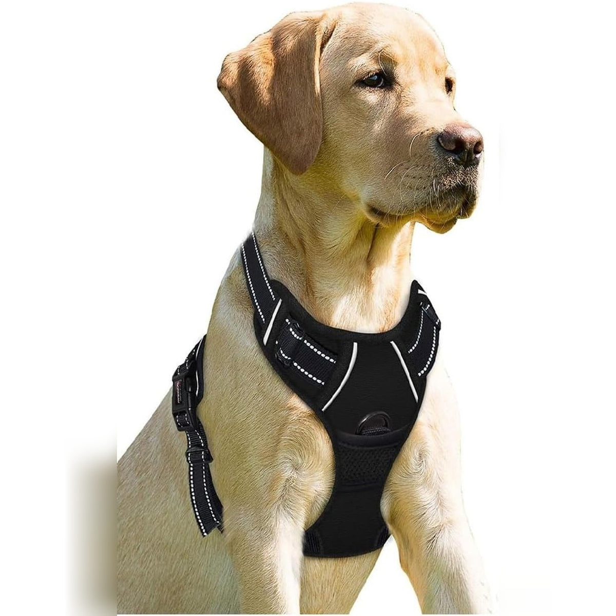 Reflective No-Pull Dog Harness – Black, Large