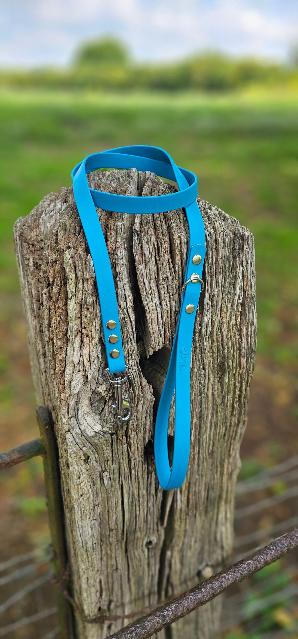 Blue - Waterproof BioThane© Dog Lead