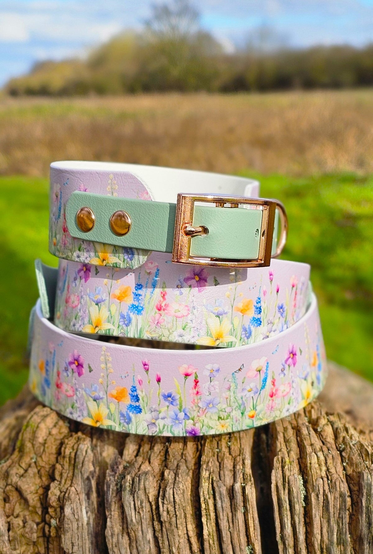 Wildflower Meadow - Printed Waterproof BioThane® Sighthound Collar / wide-fit Dog Collar