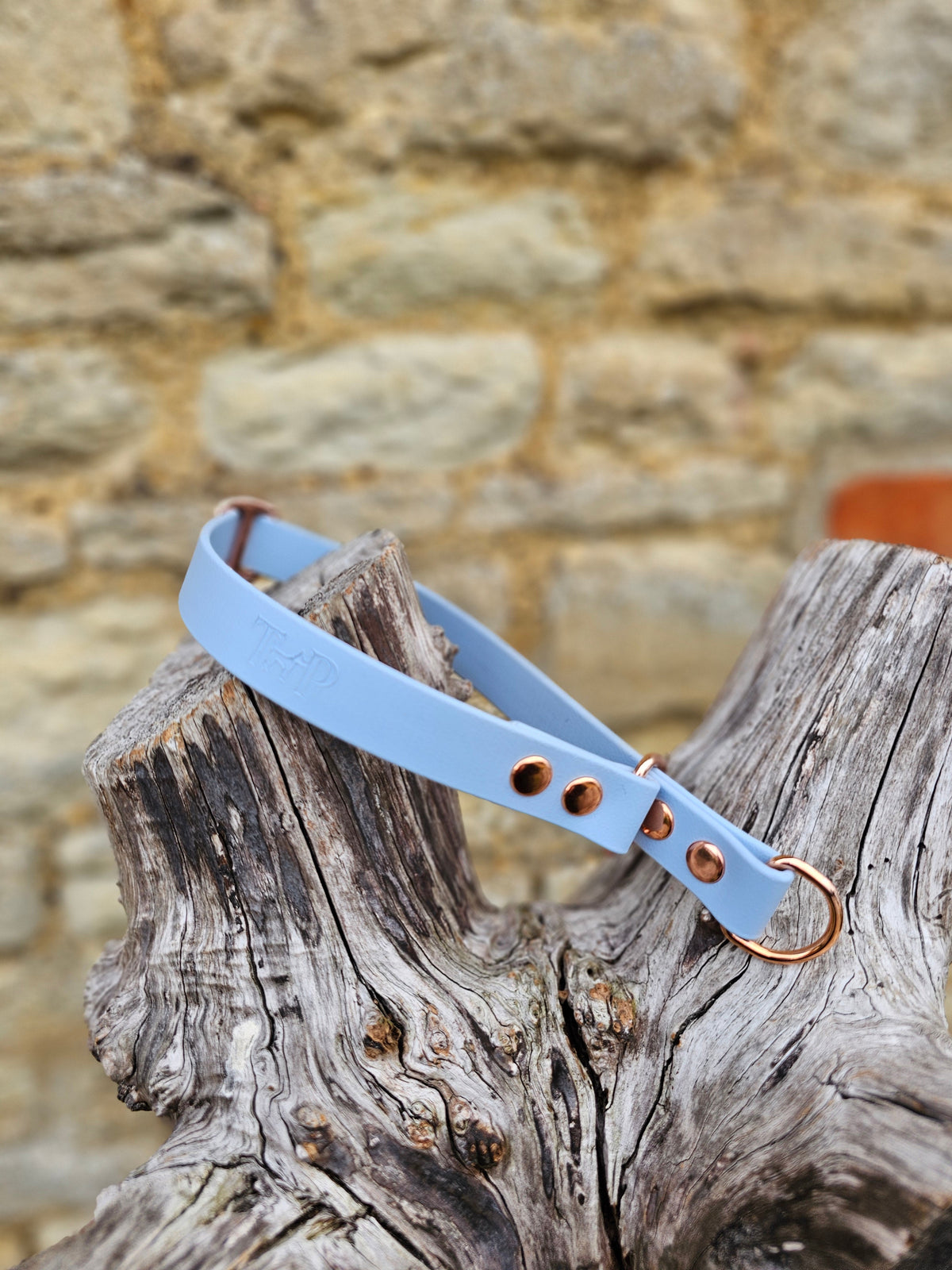 Pastel Blue Waterproof BioThane® safe-stop Slip Collar