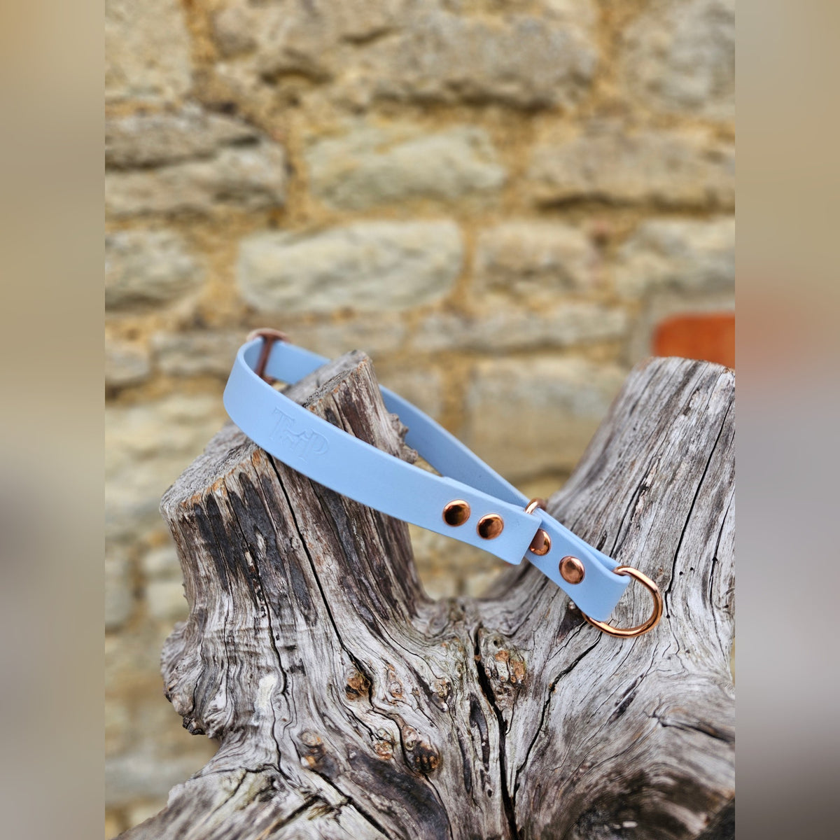 Pastel Blue Waterproof BioThane® safe-stop Slip Collar
