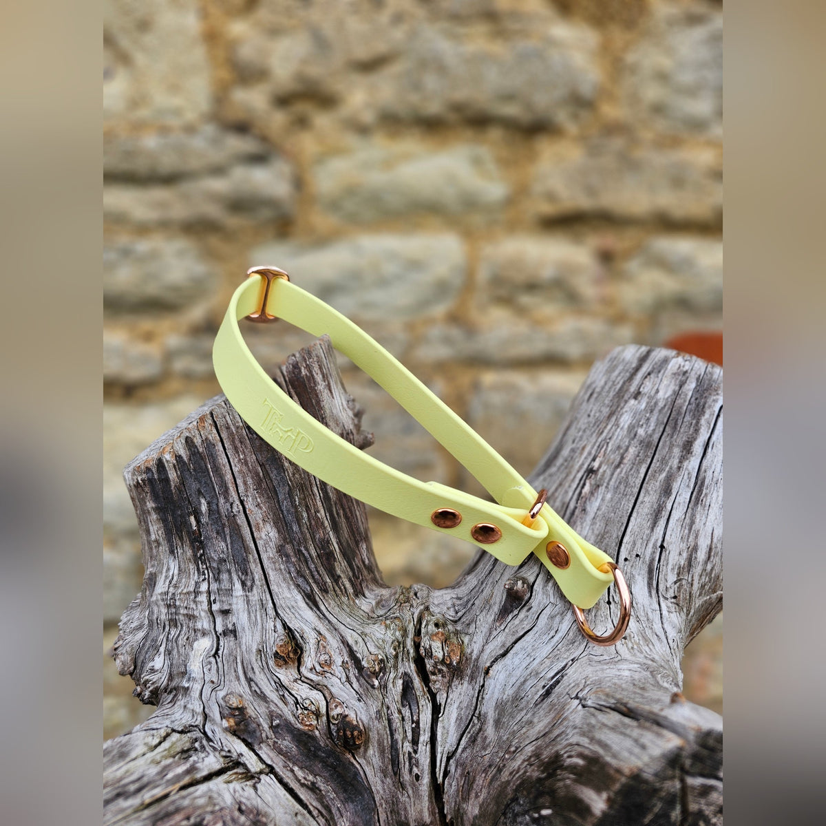 Lemon Waterproof BioThane® safe-stop Slip Collar