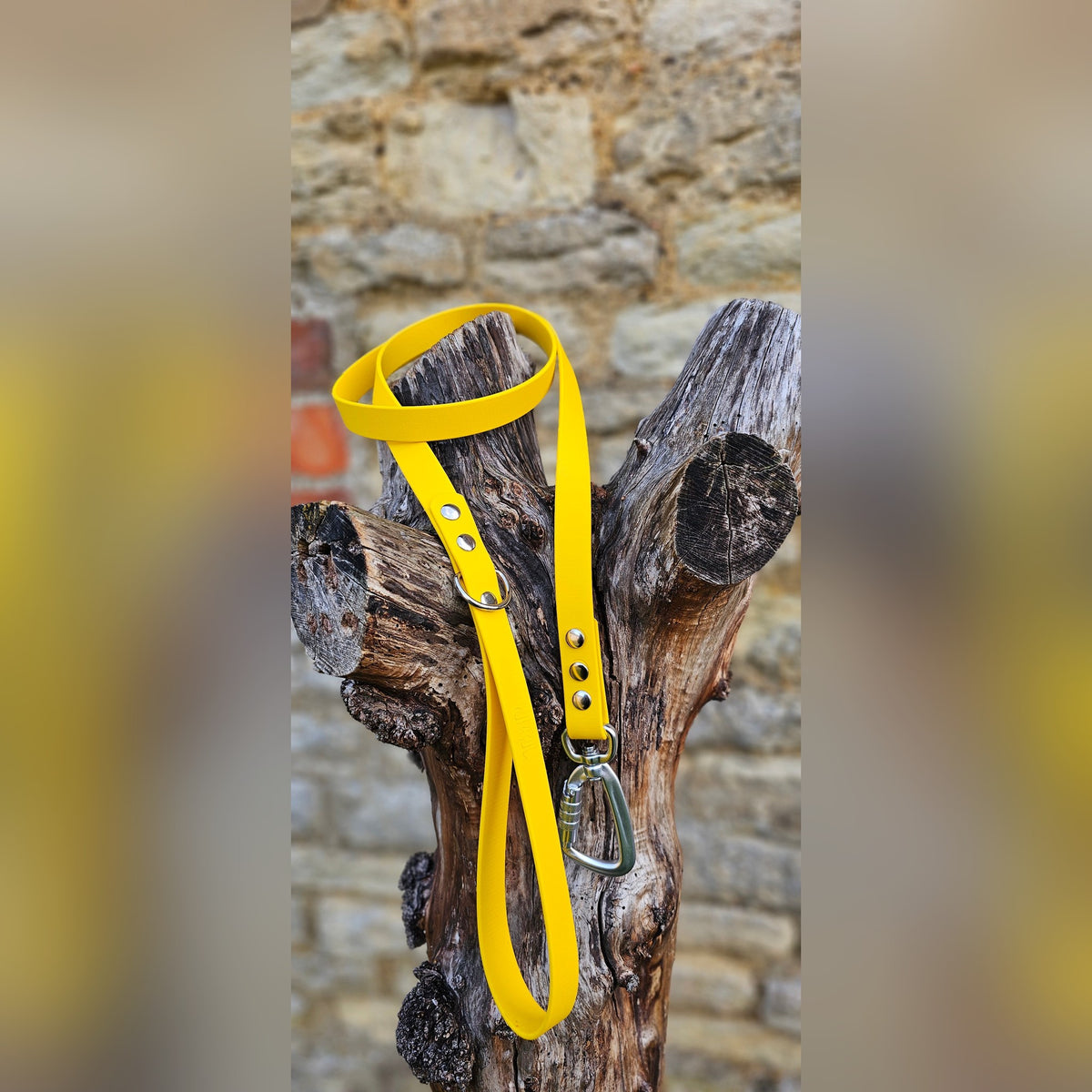 Yellow - Everlast Waterproof BioThane© Dog Lead