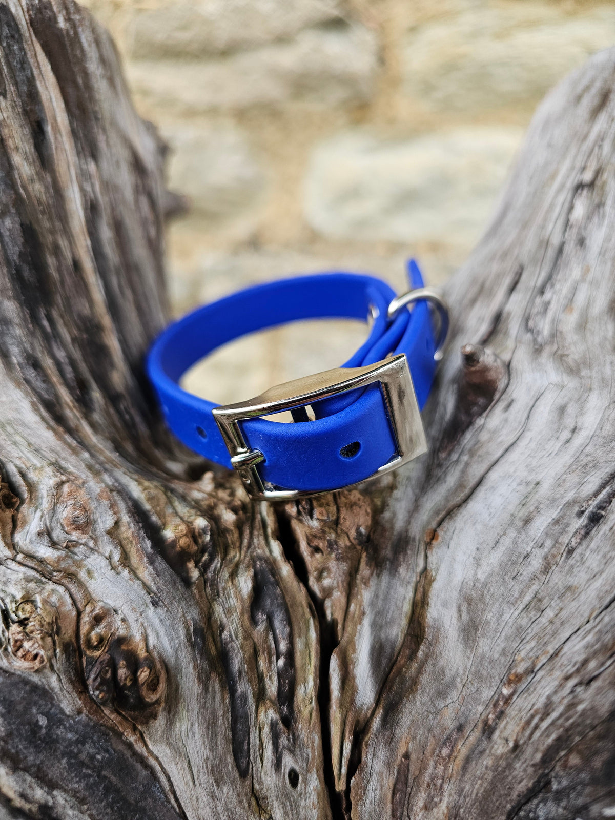 Royal Blue - Waterproof BioThane© Dinky Dog Collar