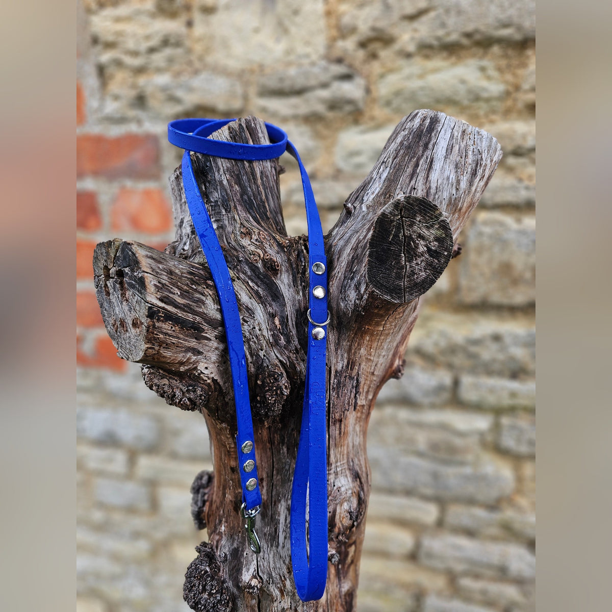 Royal Blue - Waterproof BioThane© Dinky Dog Lead
