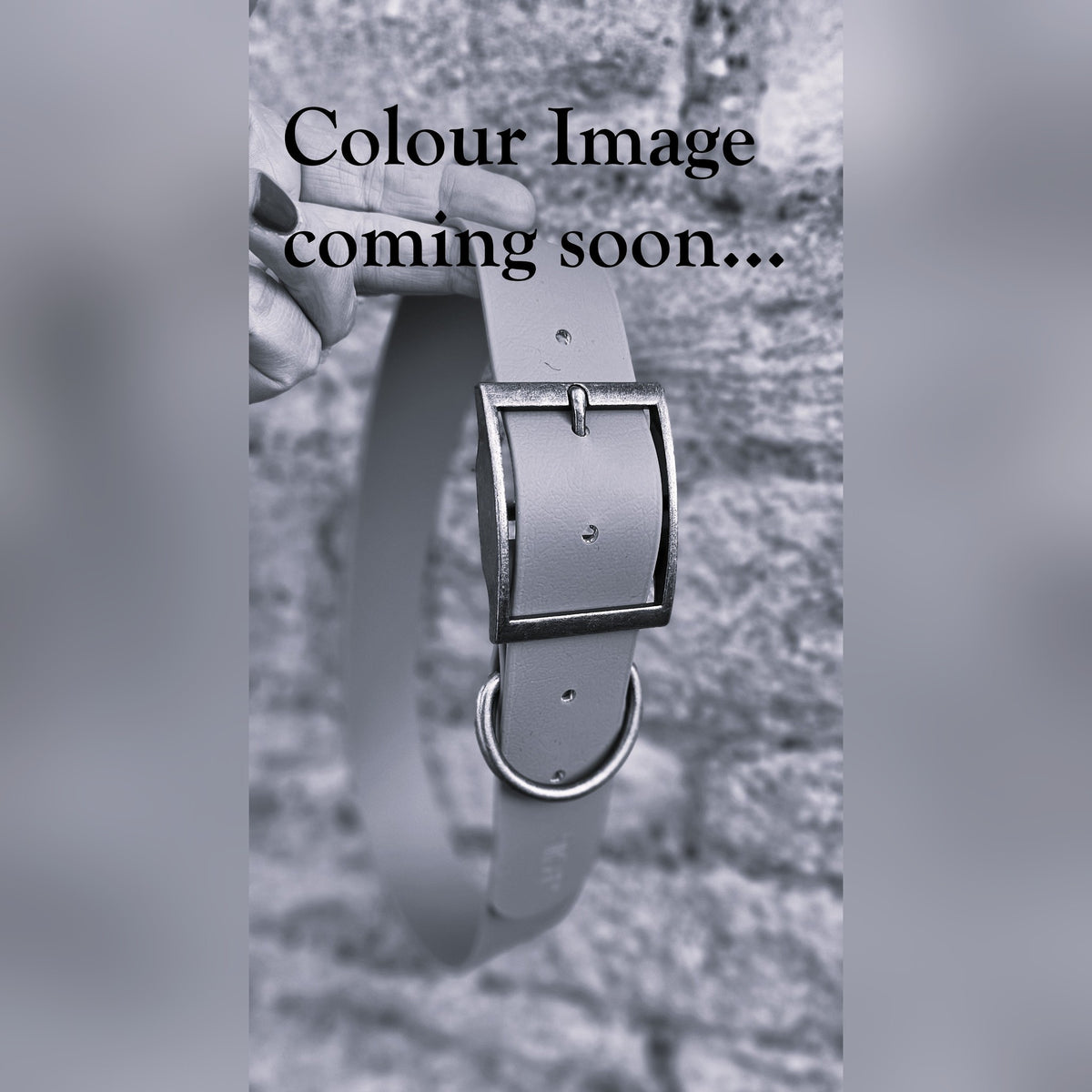 Magenta - Mighty Paws Waterproof BioThane© Dog Collar