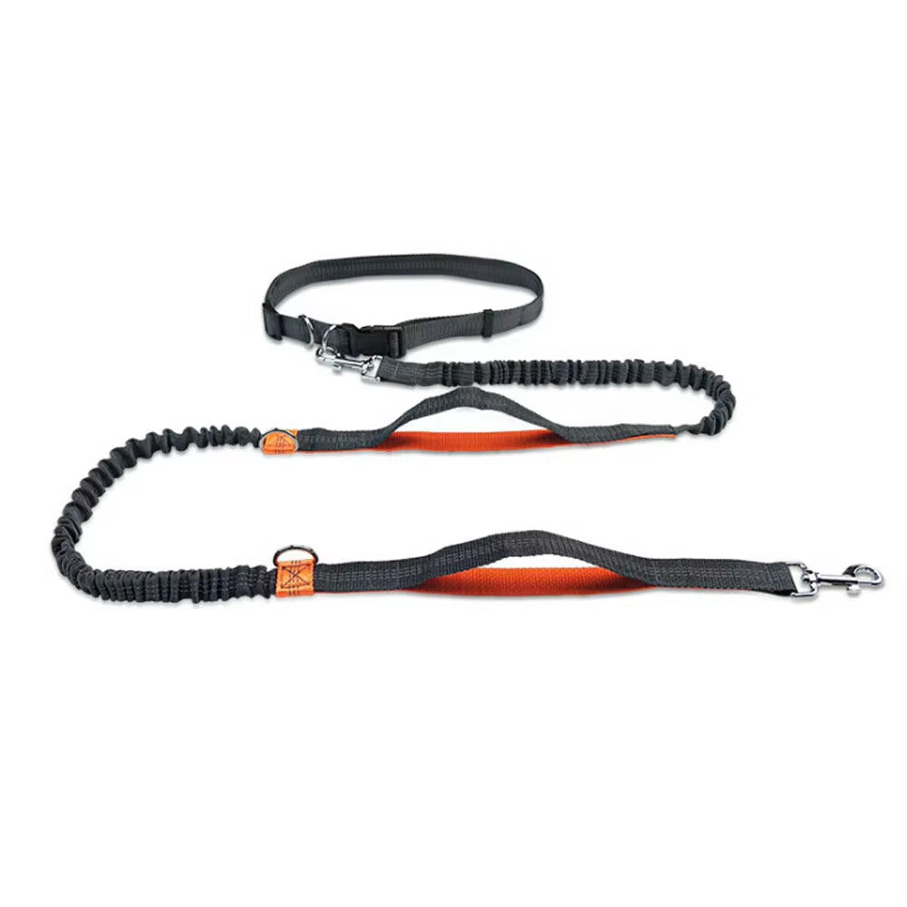 My Mutt Lifeβ’ Reflective Hands-Free Dog Lead & Running Belt β Jog, Walk & Explore with Ease πΎπββοΈ