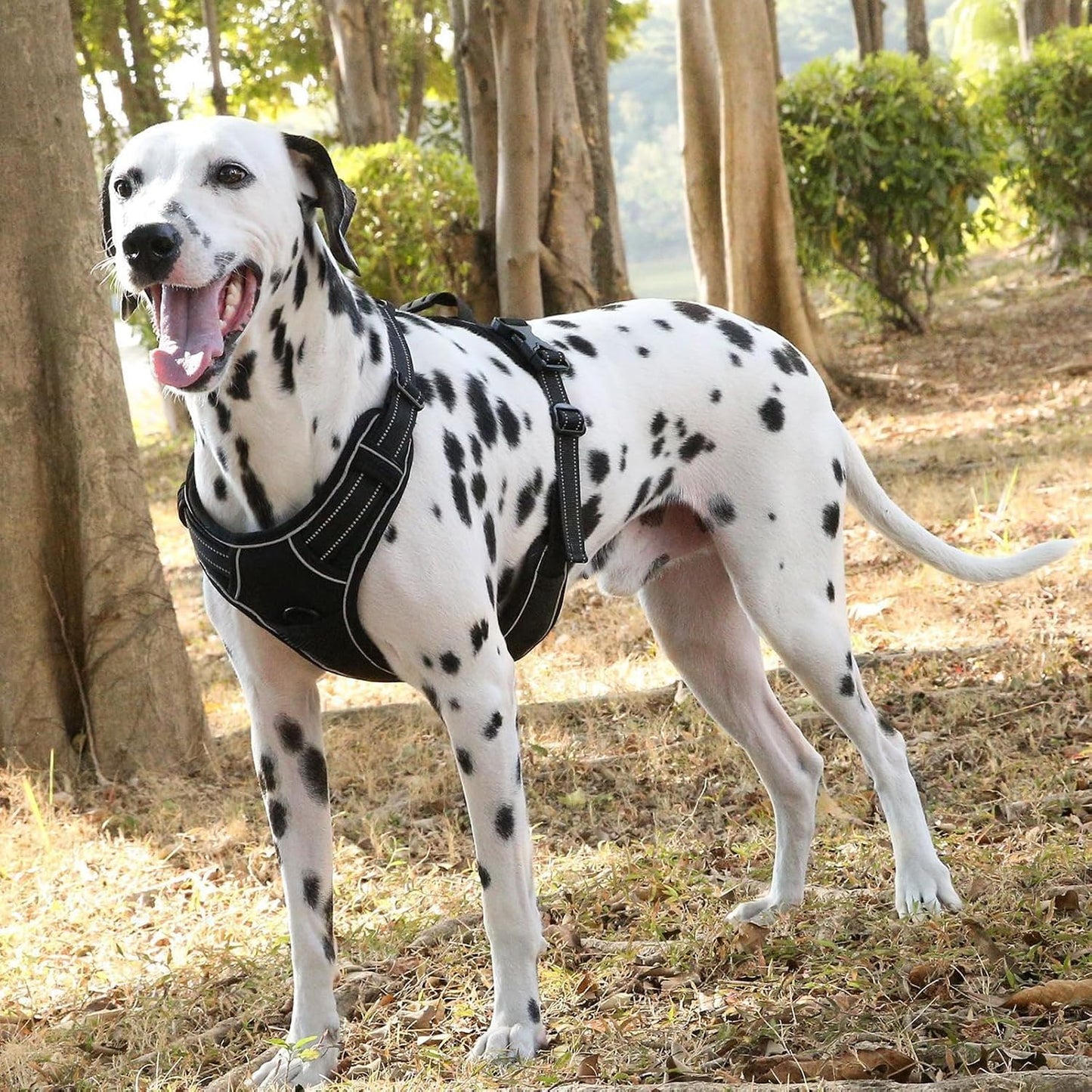 Reflective No-Pull Dog Harness – Large