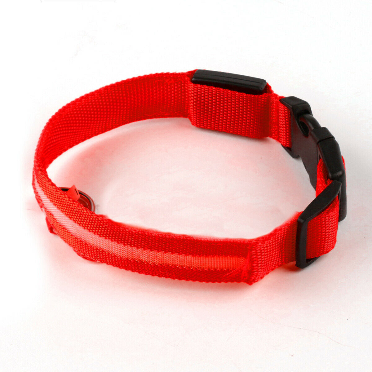 USB Rechargeable LED Dog Collar