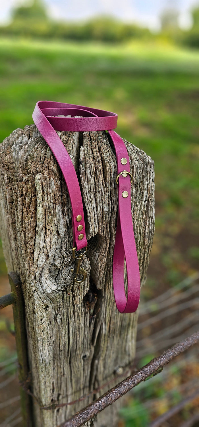 Burgundy - Waterproof BioThane© Dog Lead