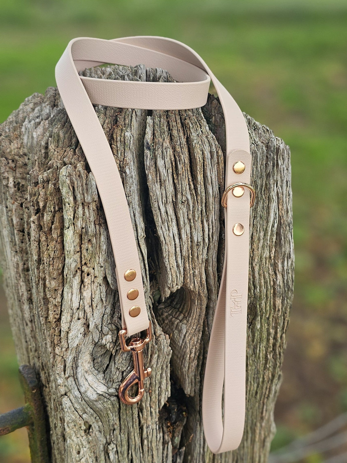 Powder Pearl - Waterproof BioThane© Dog Lead