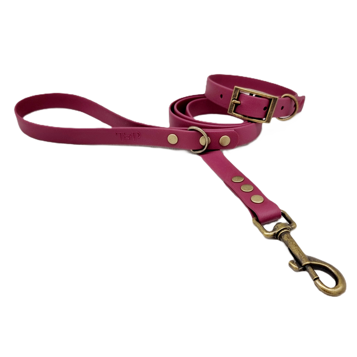 Burgundy - Waterproof BioThane© Dog Lead
