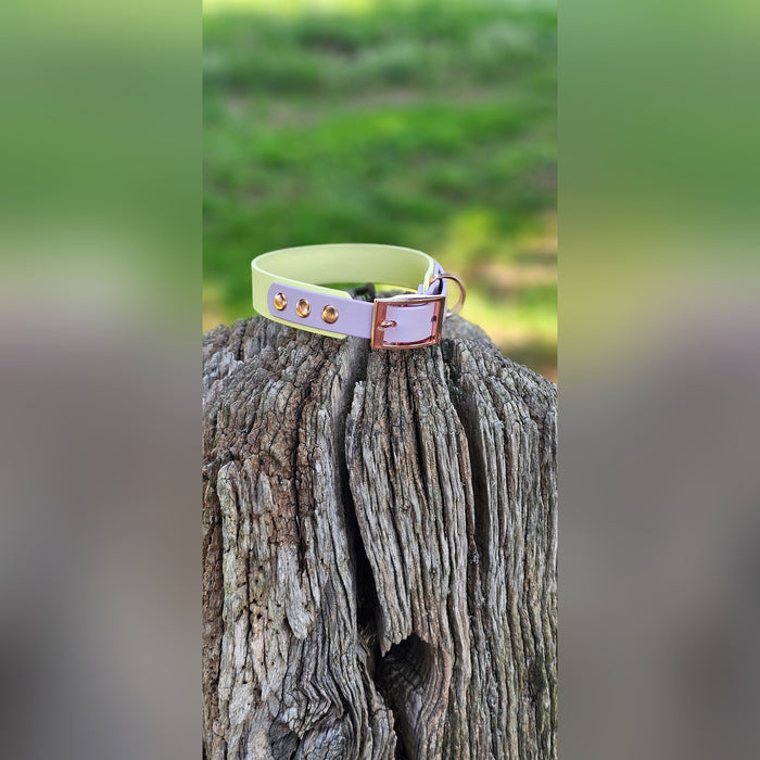 Lemon & Lilac - Waterproof BioThane© two-coloured Dog Collar
