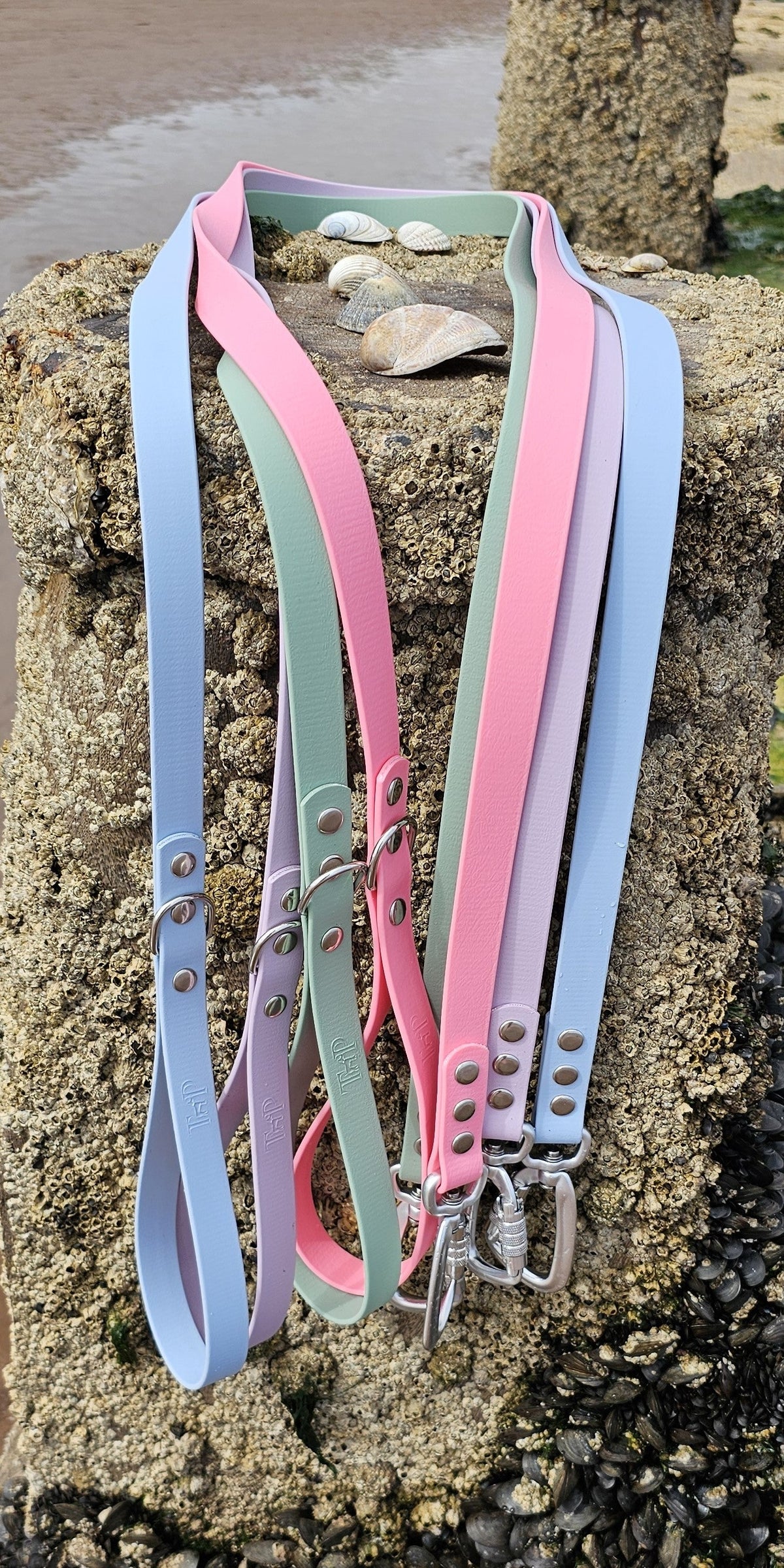 Lilac - Everlast Waterproof BioThane© Dog Lead