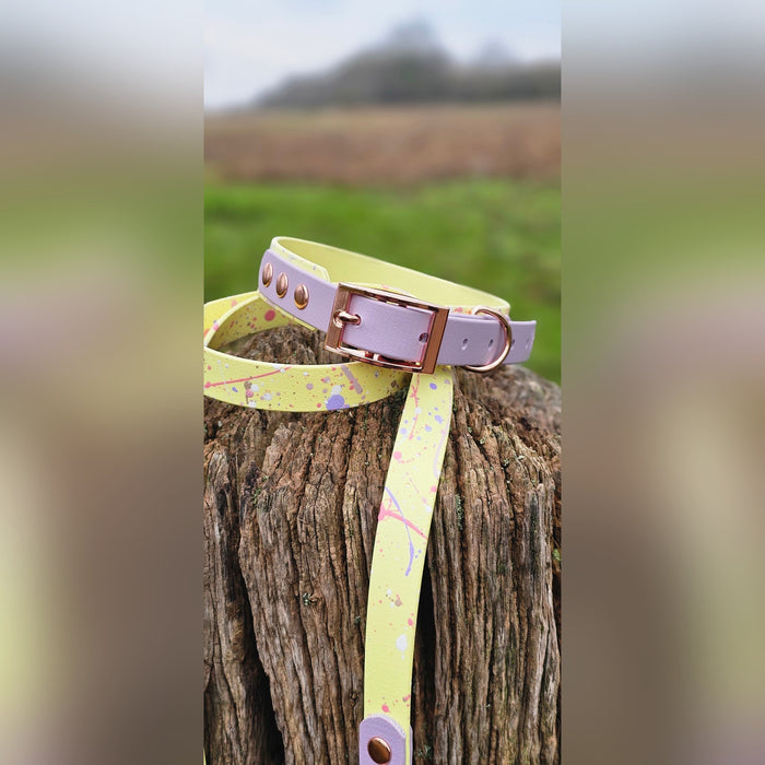 Lavender Lemonade - Waterproof BioThane© Splatter Dog Collar - Pastel Collection