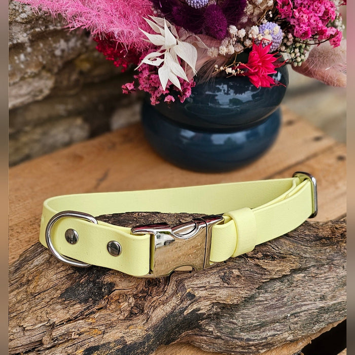 Lemon - Everlast Waterproof BioThane© Quick-Release Buckle Dog Collar