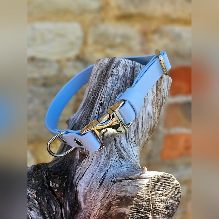 Pastel Blue - Everlast Waterproof BioThane© Quick-Release Buckle Dog Collar