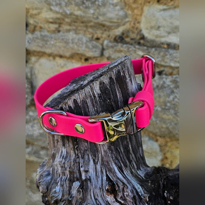 Passion Pink - Everlast Waterproof BioThane© Quick-Release Buckle Dog Collar