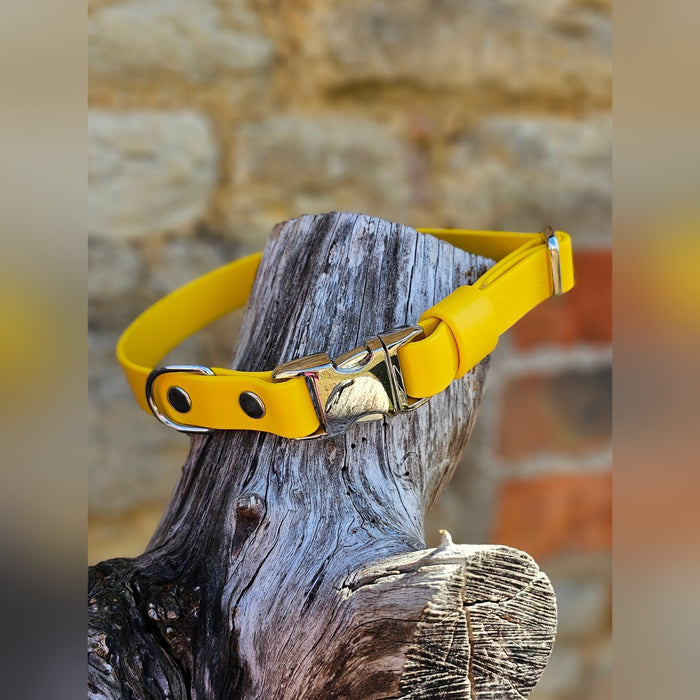 Yellow - Everlast Waterproof BioThane© Quick-Release Buckle Dog Collar