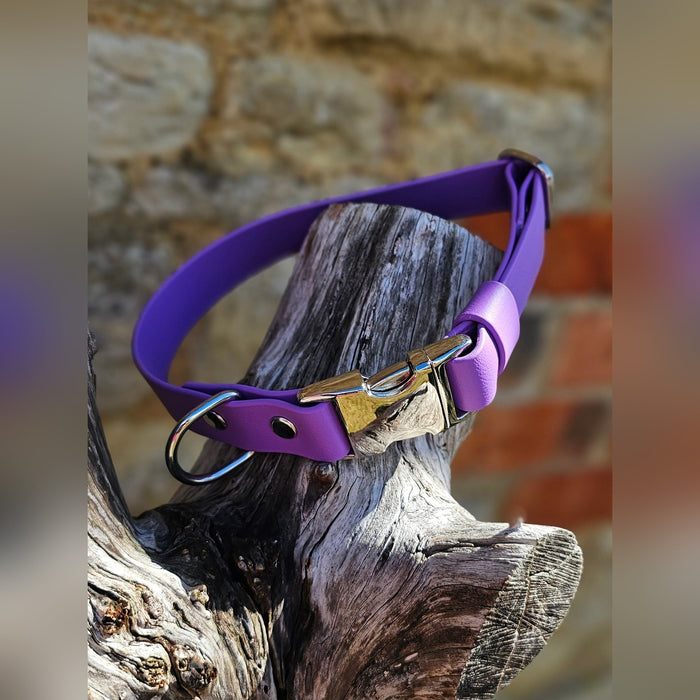 Purple - Everlast Waterproof BioThane© Quick-Release Buckle Dog Collar