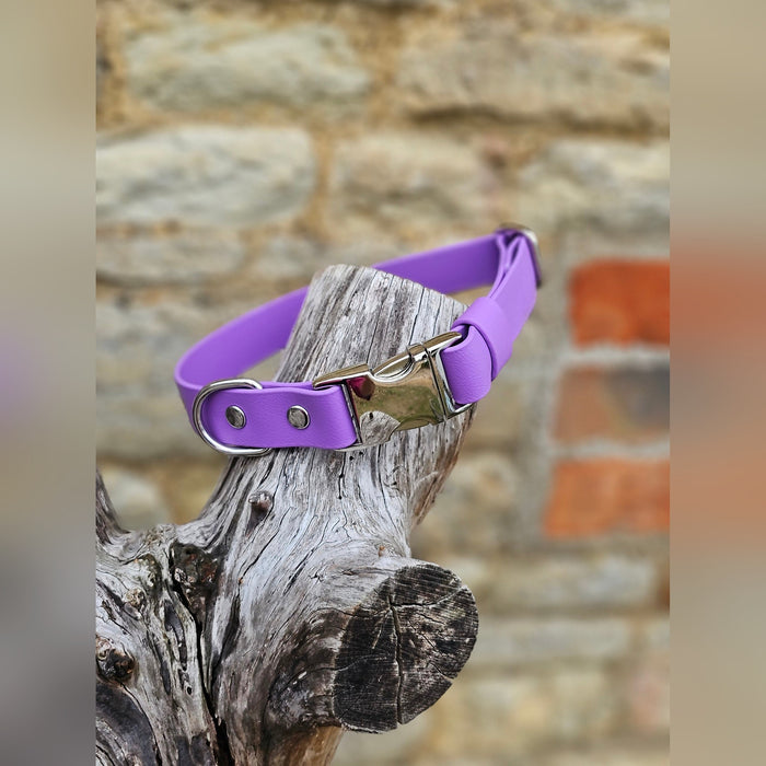 Amethyst - Everlast Waterproof BioThane© Quick-Release Buckle Dog Collar