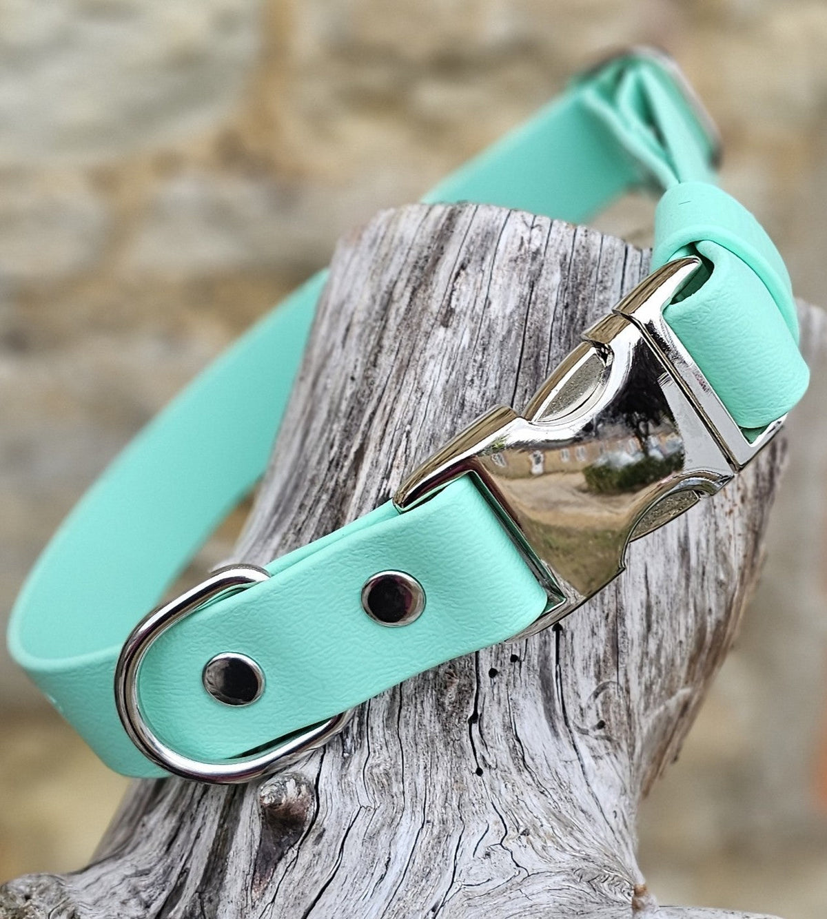 Mint - Everlast Waterproof BioThane© Quick-Release Buckle Dog Collar