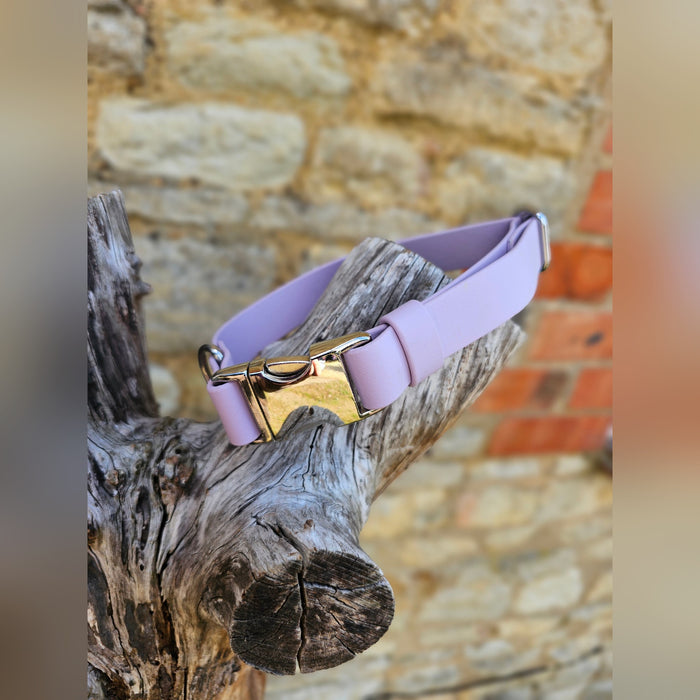 Lilac - Everlast Waterproof BioThane© Quick-Release Buckle Dog Collar