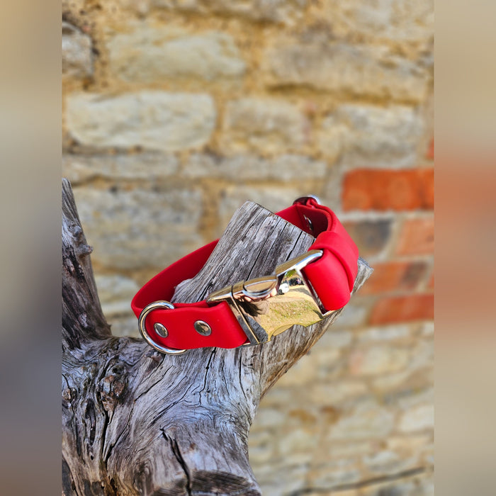 Red - Everlast Waterproof BioThane© Quick-Release Buckle Dog Collar