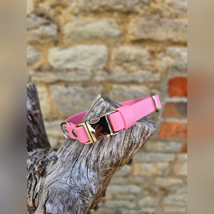 Baby Pink - Everlast Waterproof BioThane© Quick-Release Buckle Dog Collar
