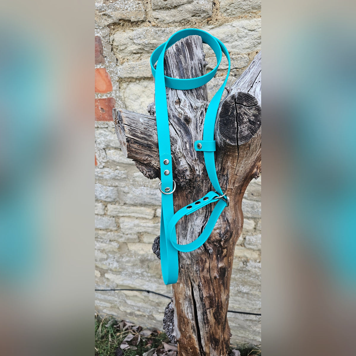 Teal - Waterproof BioThane® Dog Slip Lead