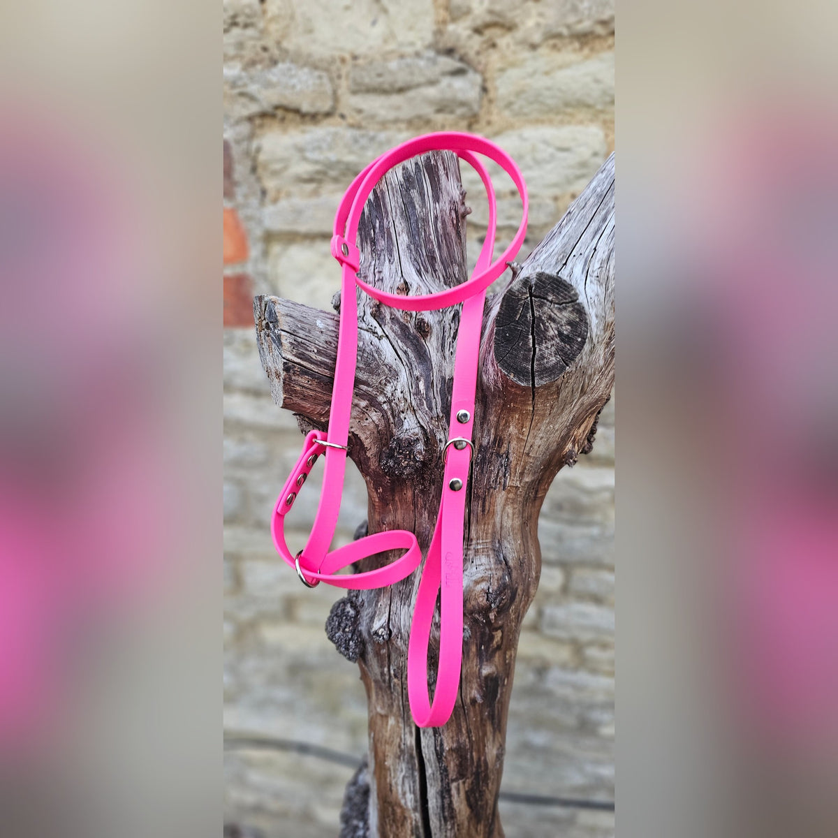 Passion Pink - Waterproof BioThane© Figure8 Dog Lead