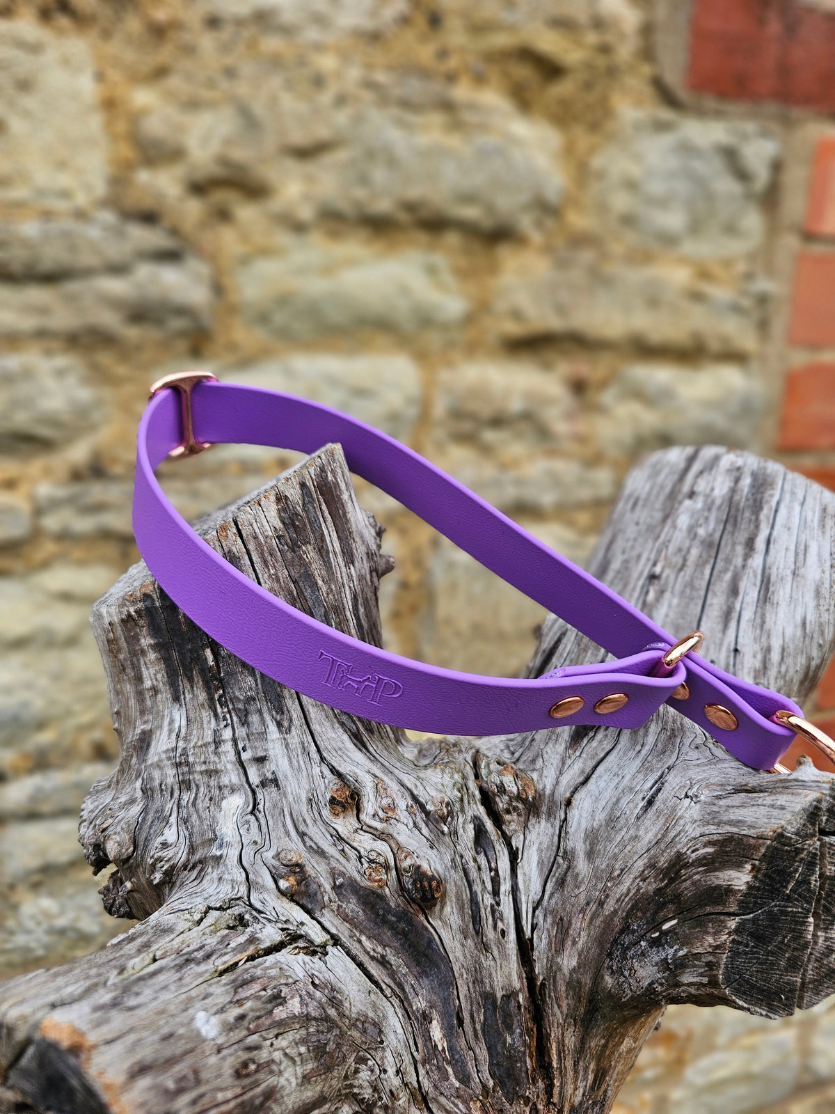 Amethyst Waterproof BioThane® safe-stop Slip Collar
