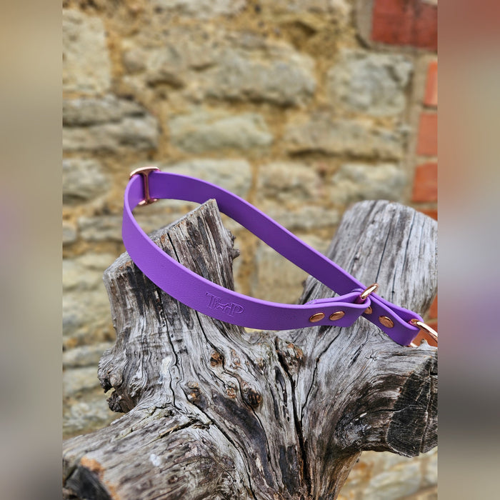 Amethyst Waterproof BioThane® safe-stop Slip Collar