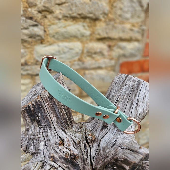Sage Waterproof BioThane® safe-stop Slip Collar
