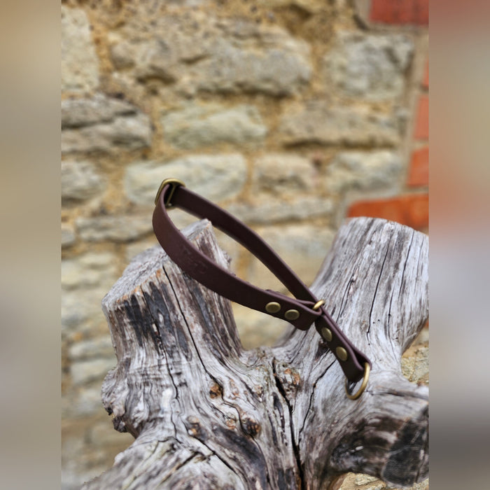 Dark Brown Waterproof BioThane® safe-stop Slip Collar