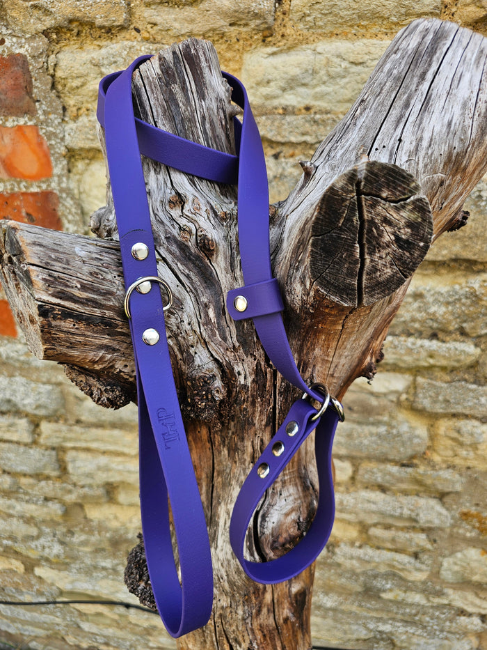 Purple - Waterproof BioThane® Dog Slip Lead