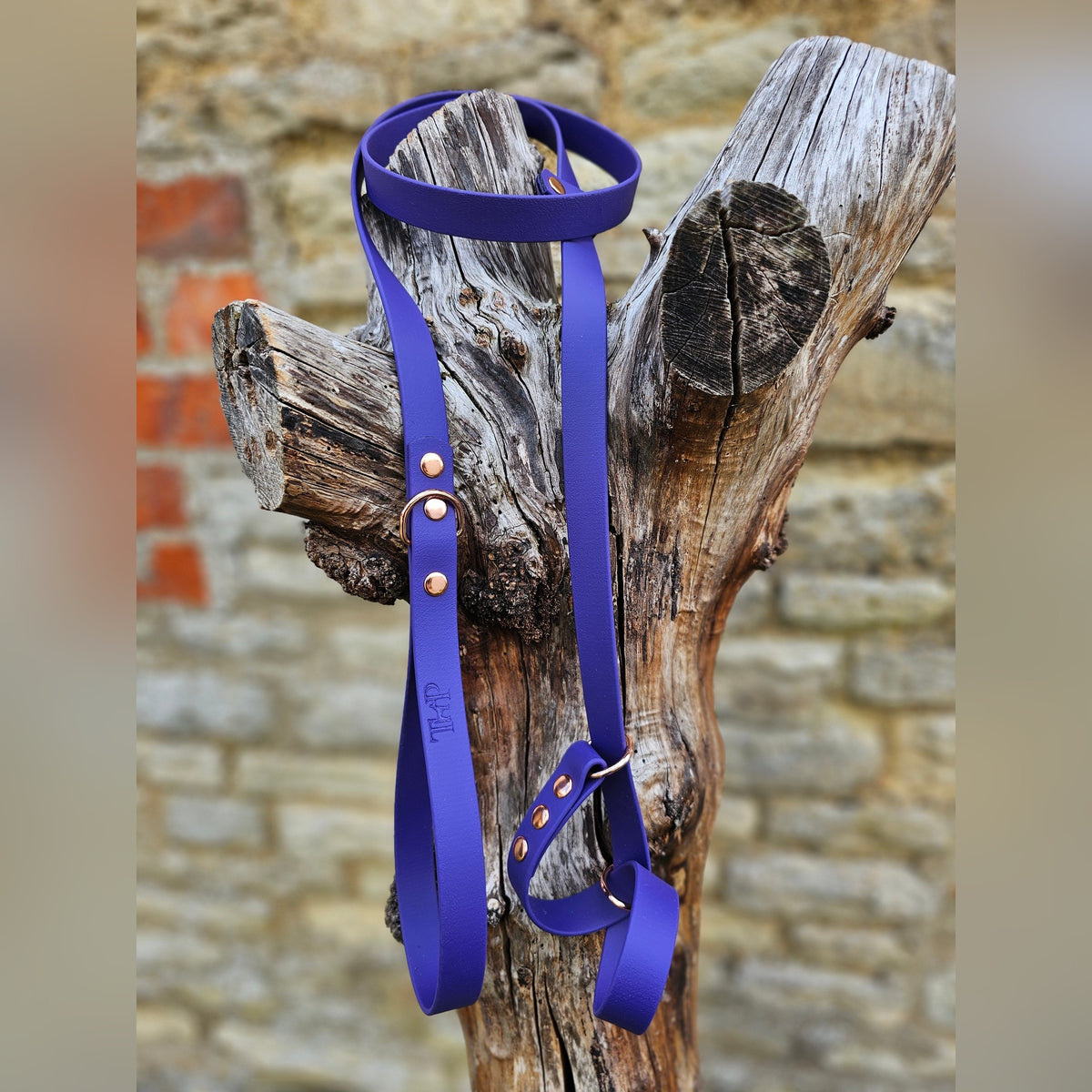 Purple - Waterproof BioThane© Figure8 Dog Lead
