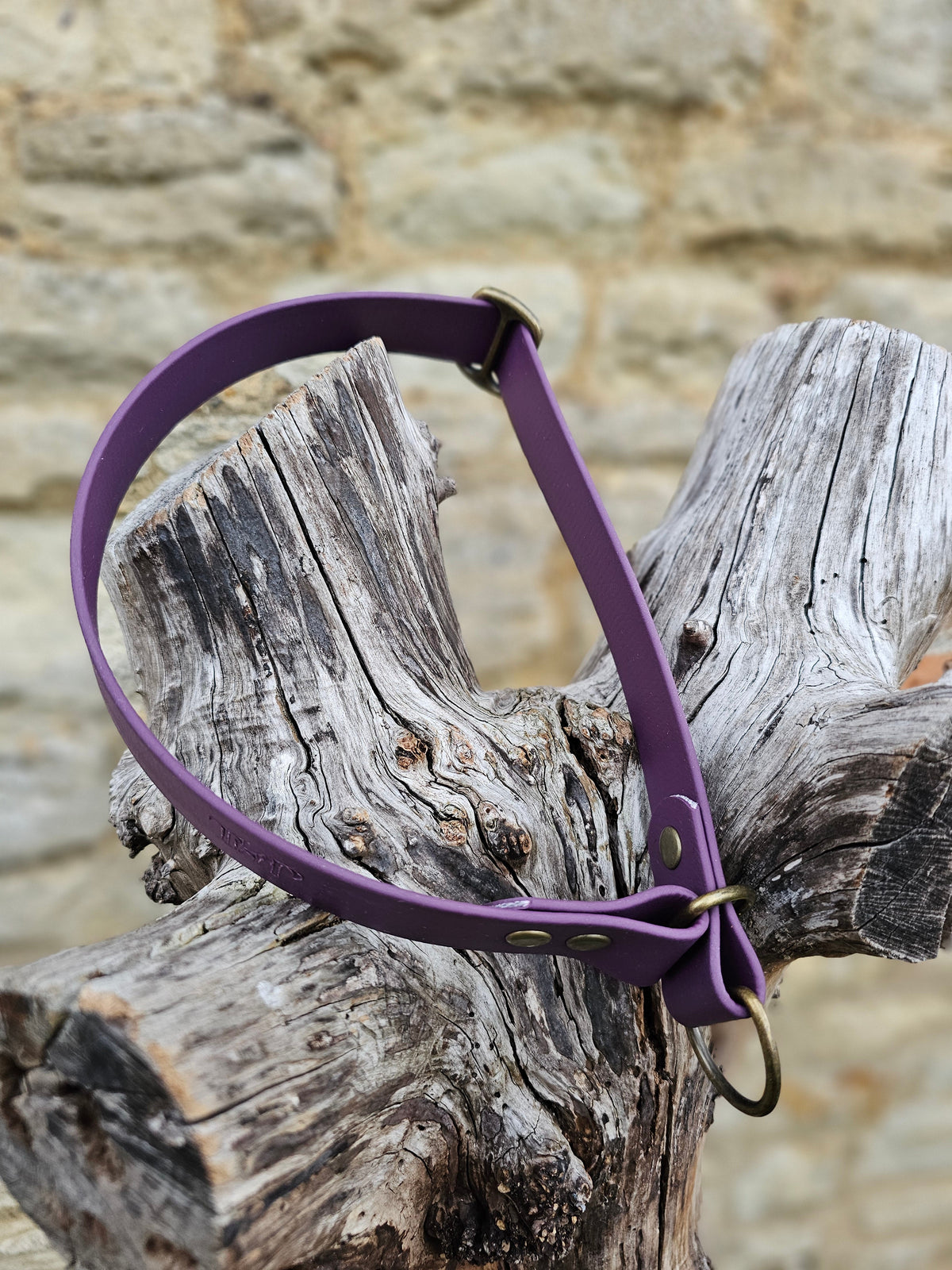 Aubergine Waterproof BioThane® safe-stop Slip Collar