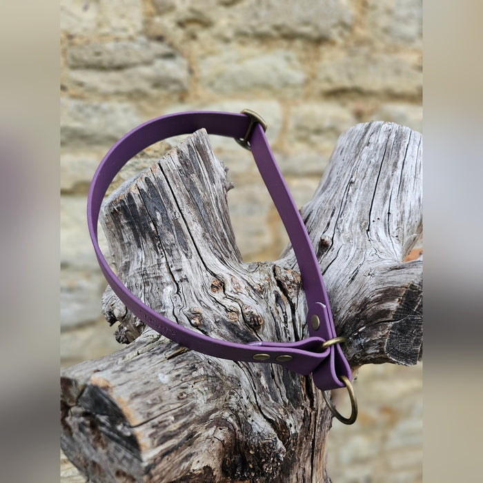 Aubergine Waterproof BioThane® safe-stop Slip Collar