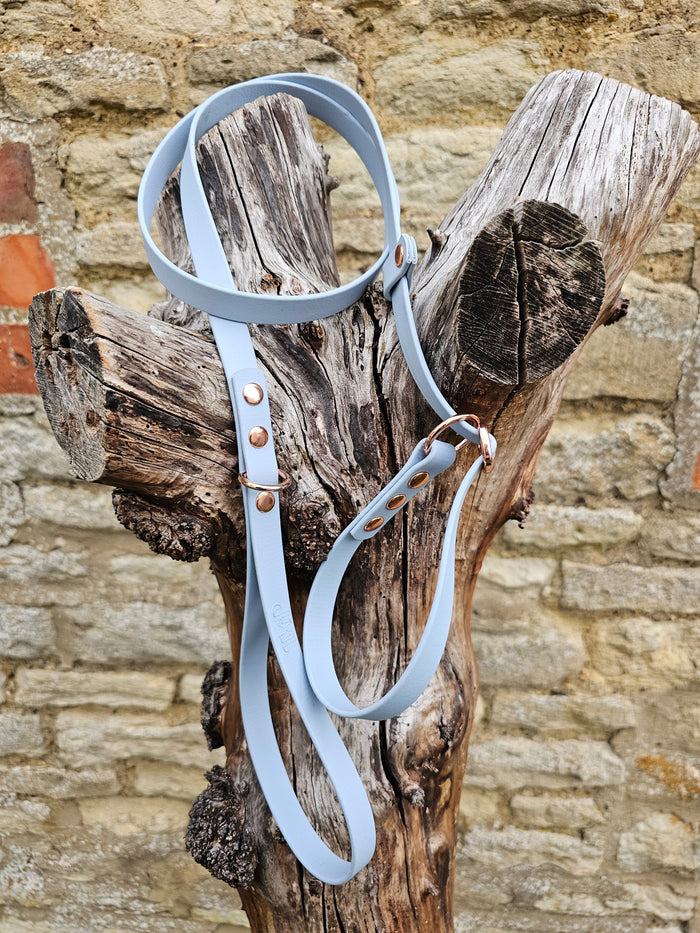 Pastel Blue - Waterproof BioThane® Dog Slip Lead