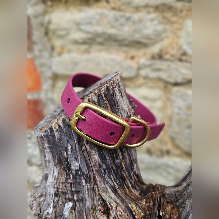 Burgundy - Everlast Waterproof BioThane© Dog Collar