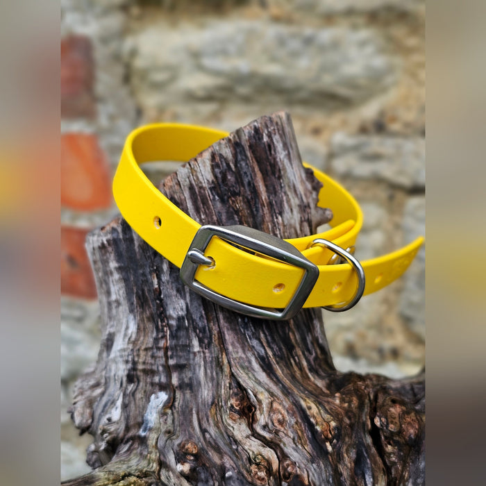 Yellow - Everlast Waterproof BioThane© Dog Collar