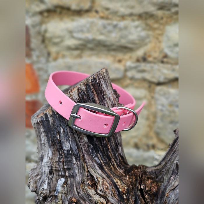 Baby Pink - Everlast Waterproof BioThane© Dog Collar