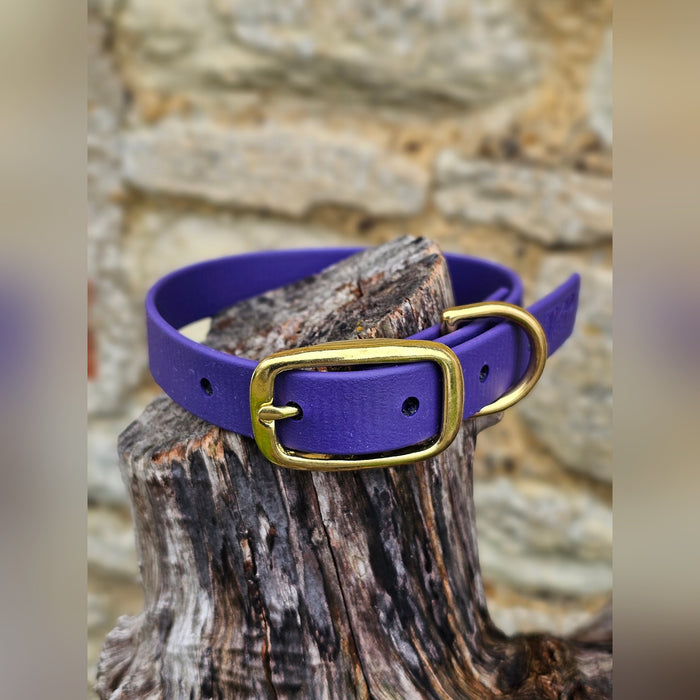 Purple - Everlast Waterproof BioThane© Dog Collar