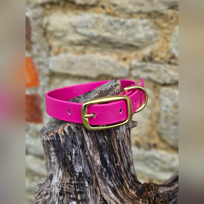 Magenta - Everlast Waterproof BioThane© Dog Collar
