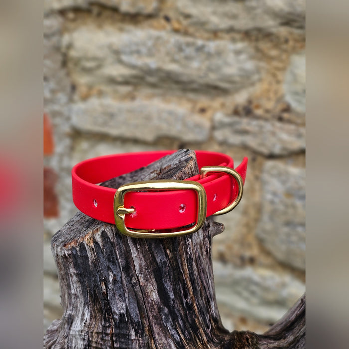 Red - Everlast Waterproof BioThane© Dog Collar