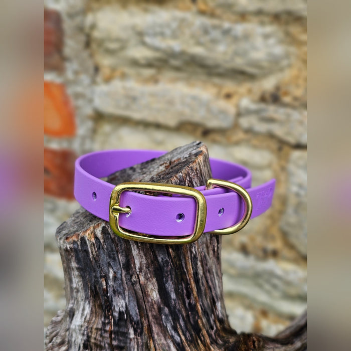 Amethyst - Everlast Waterproof BioThane© Dog Collar