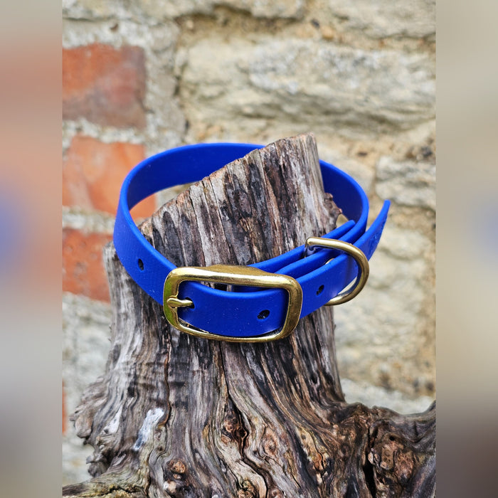 Royal Blue - Everlast Waterproof BioThane© Dog Collar
