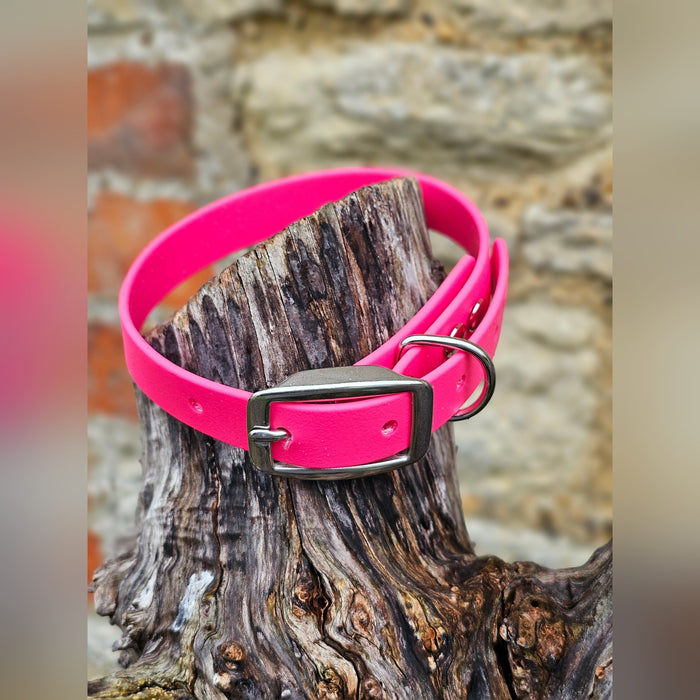 Passion Pink - Everlast Waterproof BioThane© Dog Collar