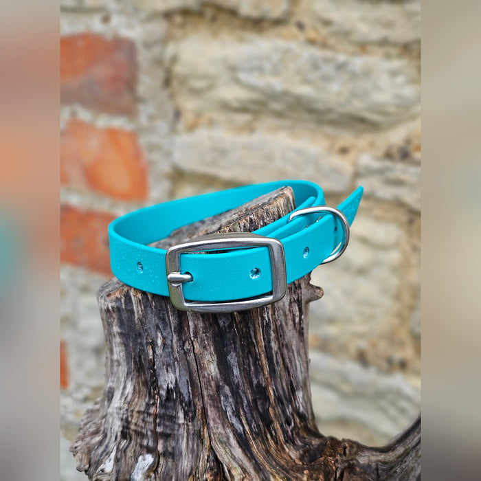 Teal - Everlast Waterproof BioThane© Dog Collar